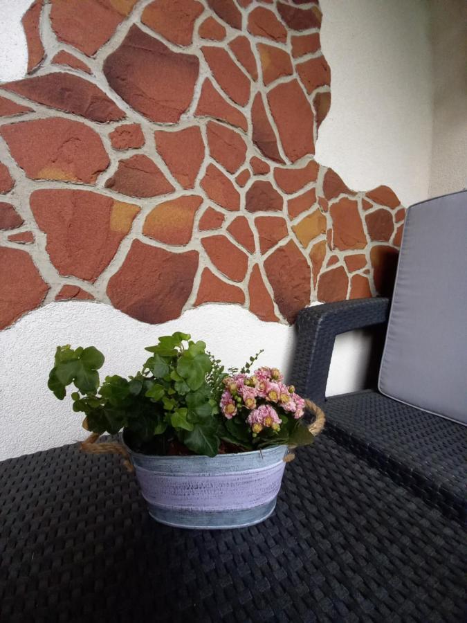 Apartman Erika - Besenova Luaran gambar